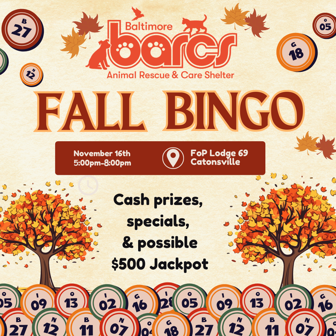 BARCS Fall Bingo — Baltimore Animal Rescue and Care Shelter